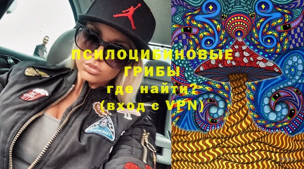 apvp Саяногорск