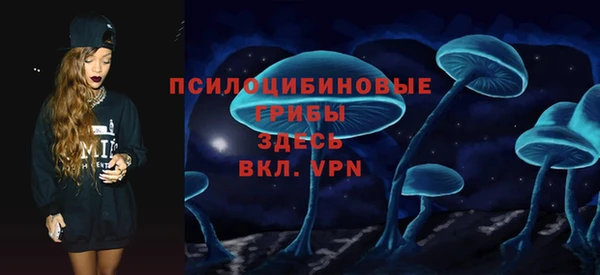 apvp Саяногорск