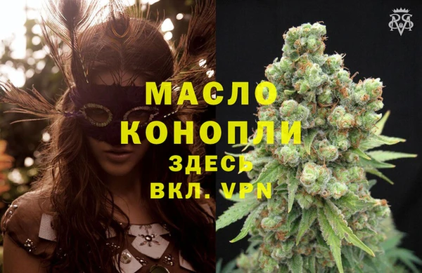 индика Бугульма