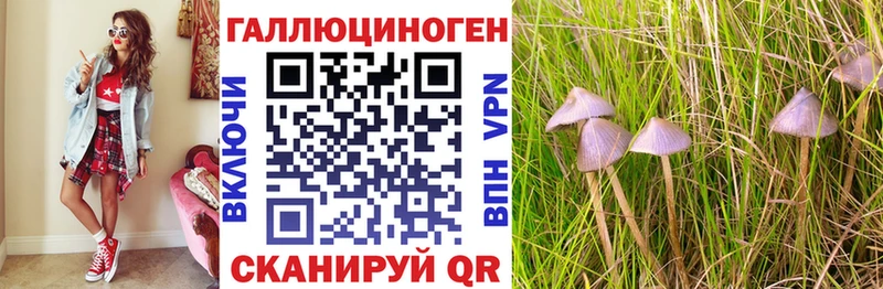 дарнет шоп  Ишим  Галлюциногенные грибы ЛСД 